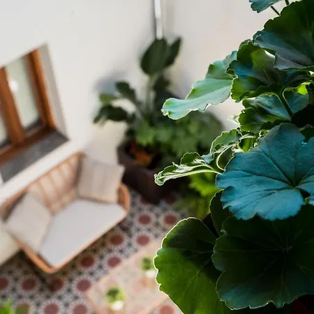 Ibericabeds Albaicin Apartment *