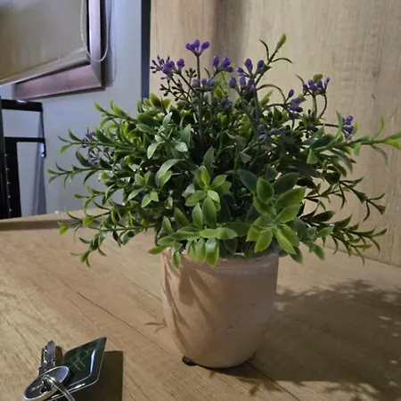 Apartment Ibericabeds Albaicin
