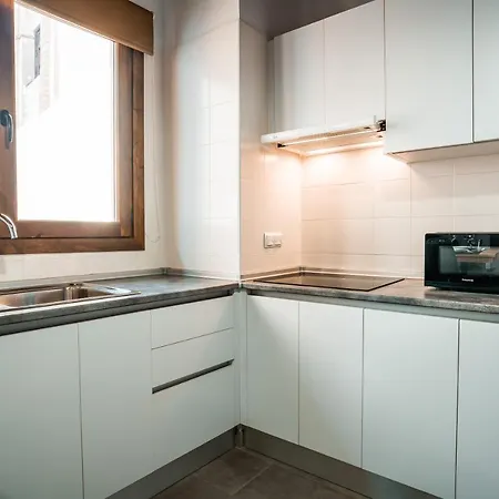 Apartament Ibericabeds Albaicin *